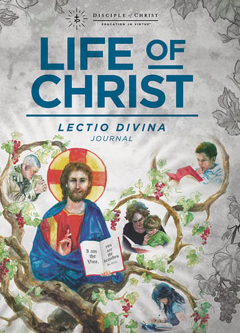 Life of Christ cover for web