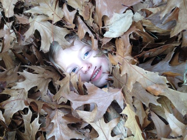 Lucy in the leaves