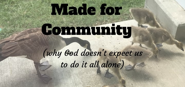 "Made for Community" by Abbey Dupuy (CatholicMom.com)