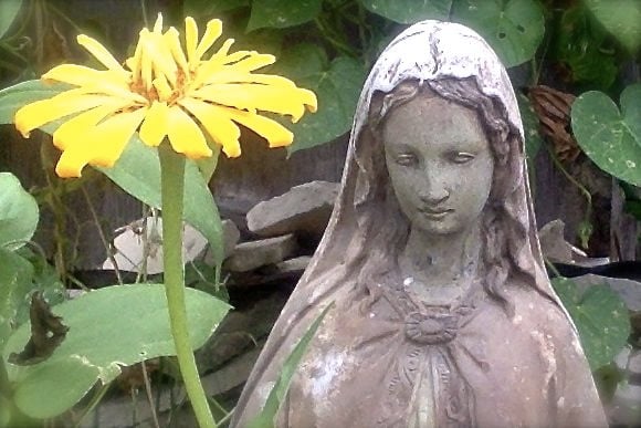 Mary and yellow flower