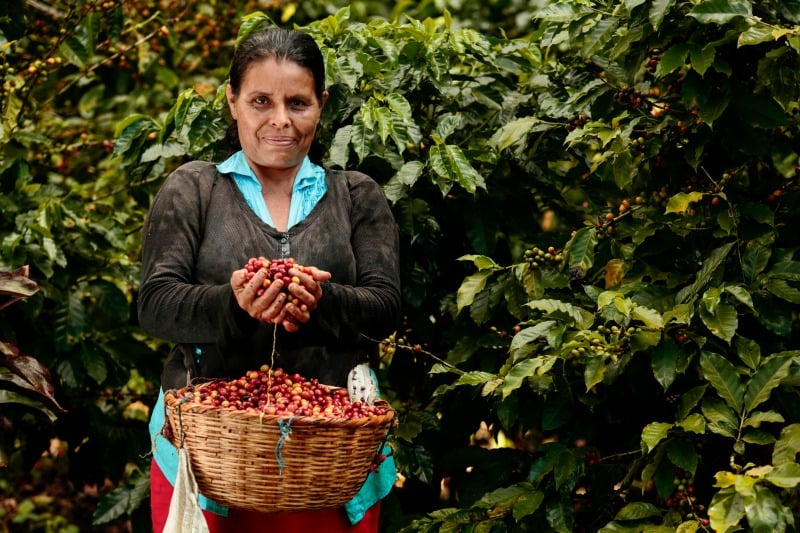 "CRS Photo of the Month: Why Fair Trade" by Catholic Relief Services (CatholicMom.com)