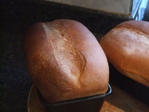 Miracle of the Loaves 18th Sunday OT