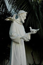 Mission San Diego - garden