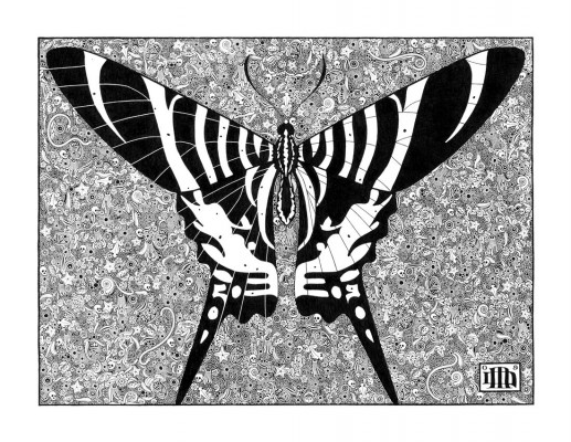 MitsuiButterfly3