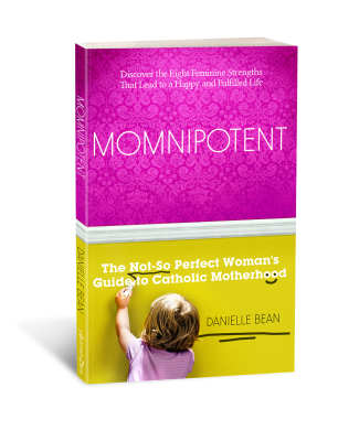 Momnipotent_book_3d