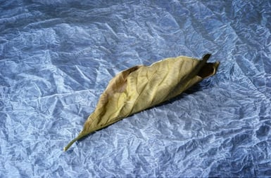 Navigating Marriage after Miscarriage