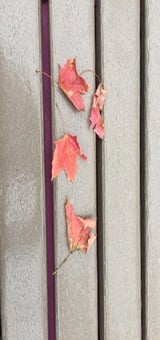 "For Women: Distorted Devils and Blurred Beauty" by Jason Weirich for CatholicMom.com