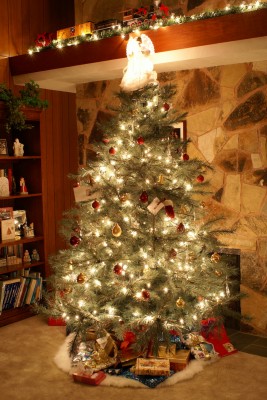 Oh Christmas Tree, Oh Christmas Memories