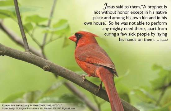 ©2015 Liturgical Publications Inc. All Rights Reserved. Used with permission.