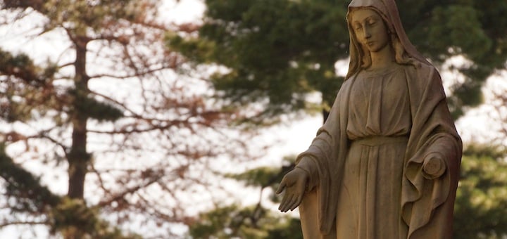 Our Lady of Brokenness, Pray For Us!