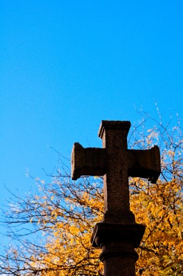 Phrases That I Hope Go Unmentioned at My Funeral