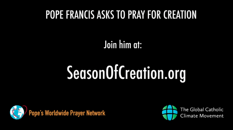 Pope Francis asks us to pray for creation on 9/1 (CatholicMom.com)