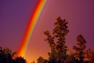 Prisms Prisms
