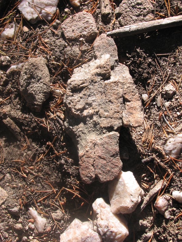 "Never Enough Rocks" by Nancy Jo Sullivan (CatholicMom.com)
