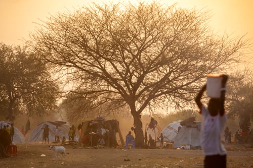 Until CRS began distributing shelter kits, trees were often the only source of shelter.
