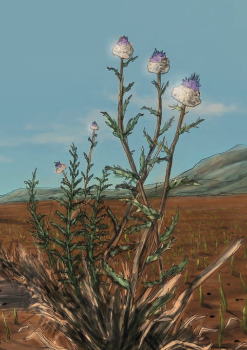 The Parable of the Sower