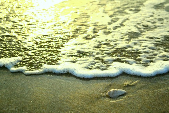 Sea