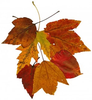 Season of Change