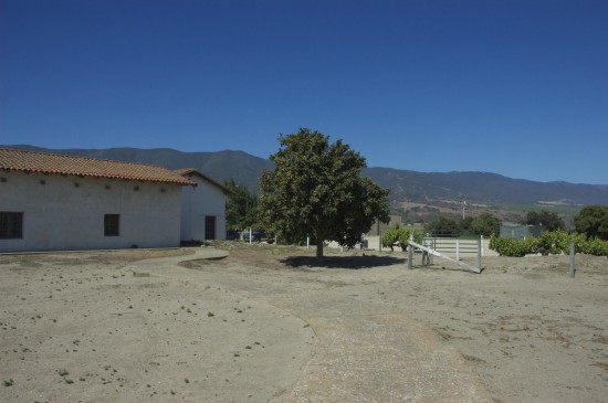 Mission Soledad – Back View