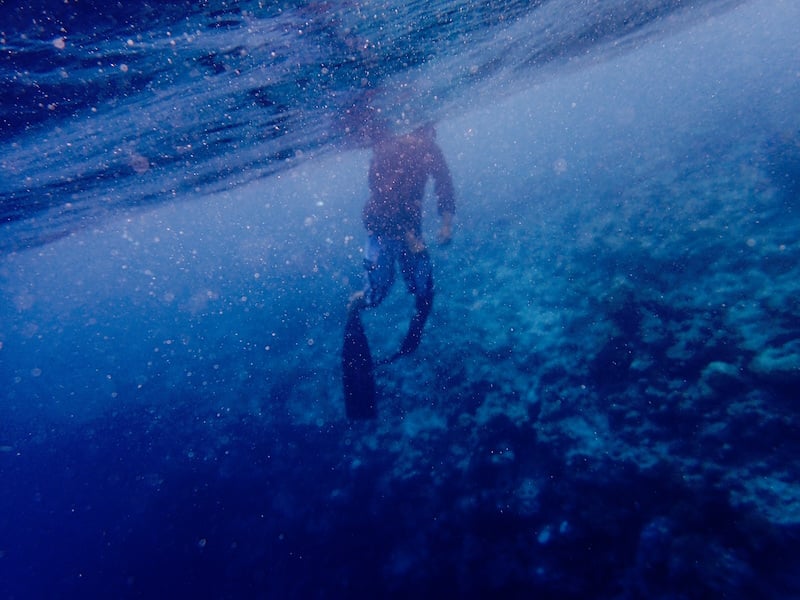 "Above the Water" by Kelly Pease (CatholicMom.com)