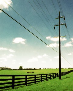 Telephone Poles and Prayer