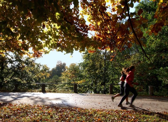 Three Lessons I Learned While Learning to Run
