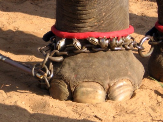 Tied to the Past