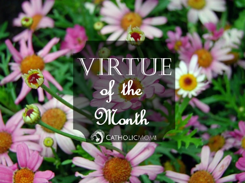 "Virtue of the Month Series" by Linda Kracht (CatholicMom.com)