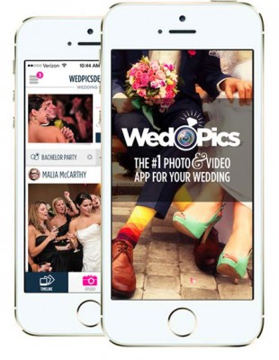 WedPicsLogo