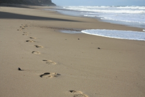 What Keeps You from Walking on Water