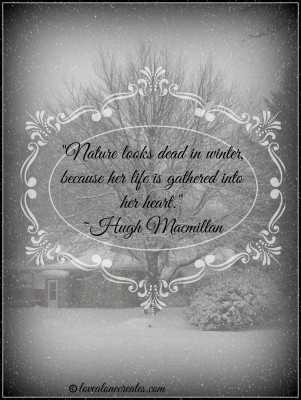 Winter Beauty