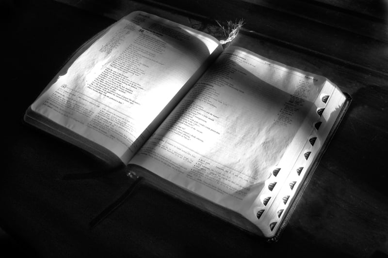 "To Be a Witness" by Kimberly Nettuno (CatholicMom.com)