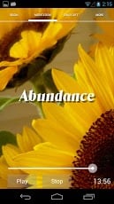 abundance1