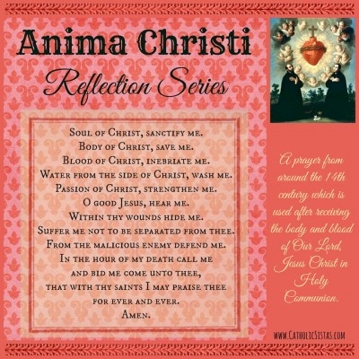 anima christi reflection series