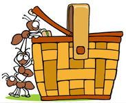 Ants in the Kitchen