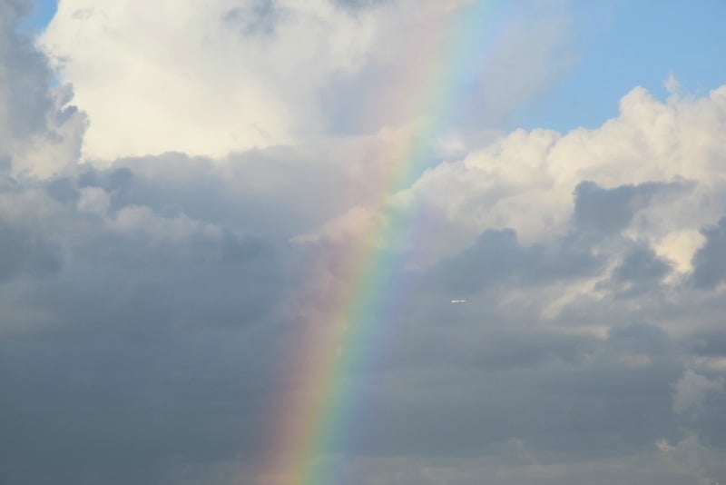 "Are you looking up?" by Elizabeth Desiderato (CatholicMom.com)