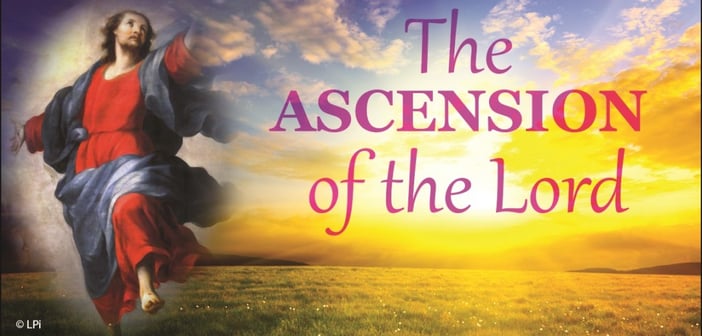 ascension sunday