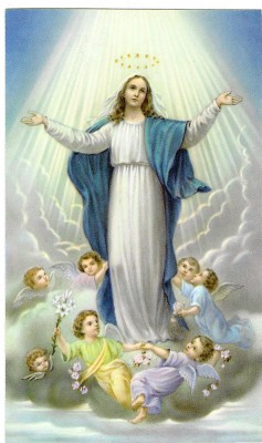 assumption bvm