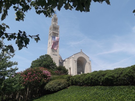 Basilica of the Immaculate Conception, by Rebecca Sheptock (2012) via freeimages.com 