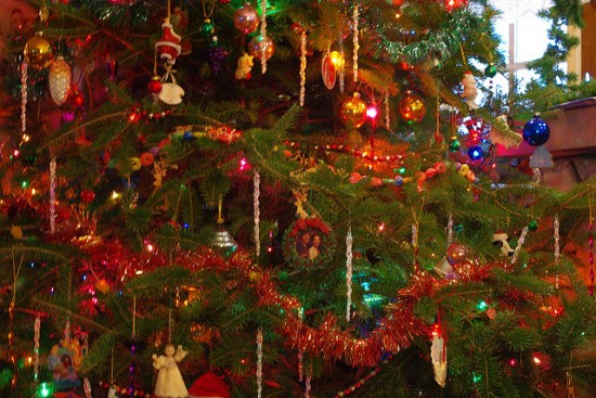 becoming a christmas matriarch
