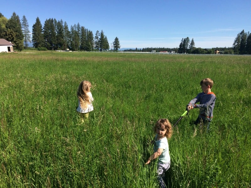 "A bergamot moment" by Maggie Eisenbarth (CatholicMom.com)