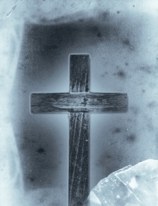 Daily Bible Reflection