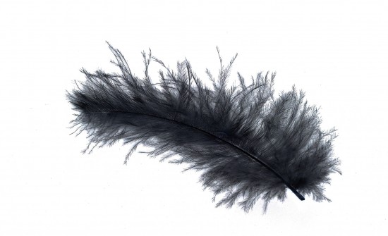 black feather