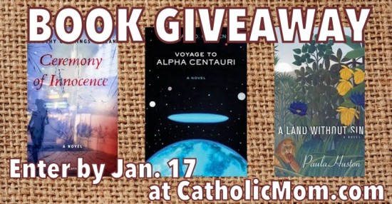 bookgiveaway011114-rect