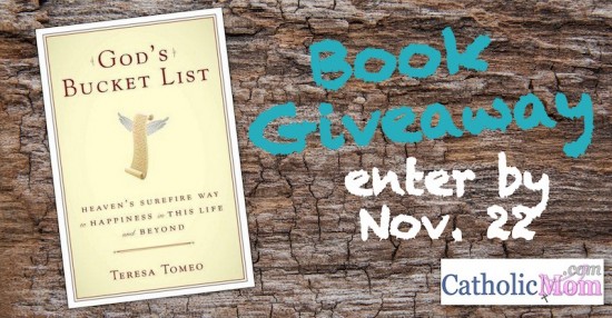 bookgiveaway111613-rect