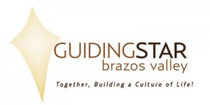 brazosvalleylogo1-300x150