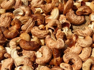 cashew-nut-52066_640