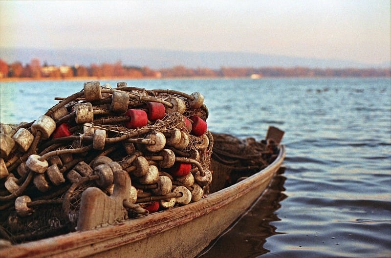 "Casting Empty Nets" by Margaret Rose Realy, Obl. OSB (CatholicMom.com)