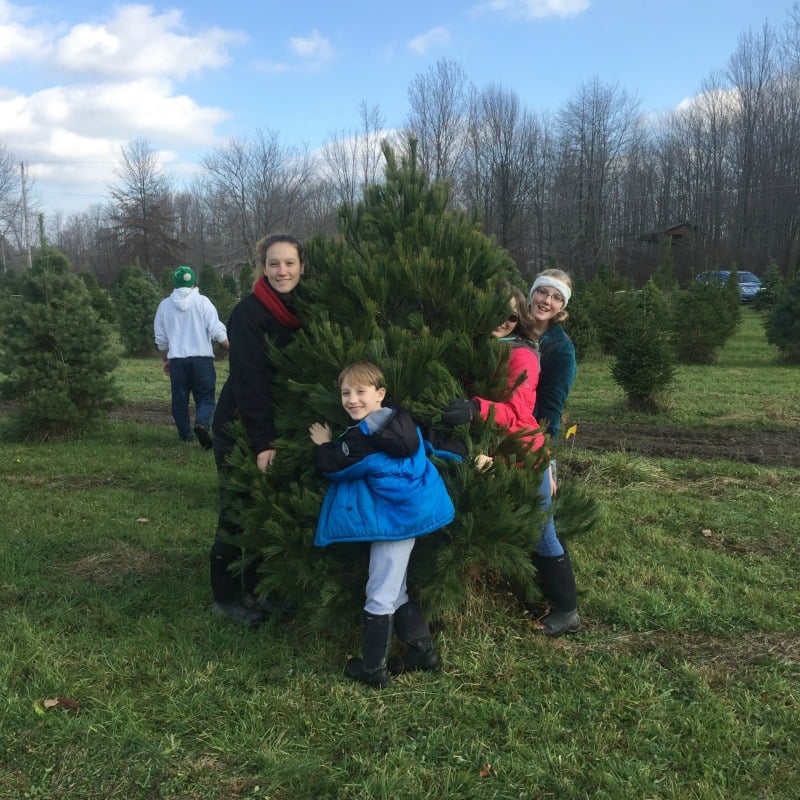 "Be a tree-hugger this Christmas" by Christina Nagy (CatholicMom.com)