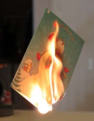 christmas fried